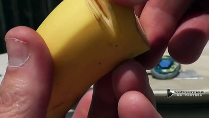 RIDICULOUSLY Dangerous BEYBLADE - Real BLADES!