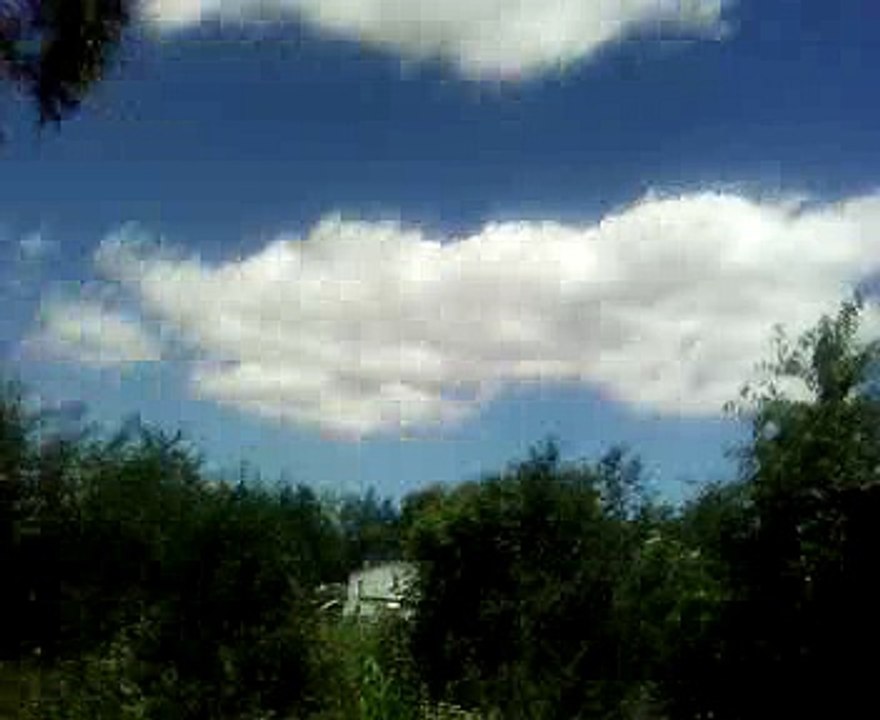 Mălini- în grădină/vara anului 2016