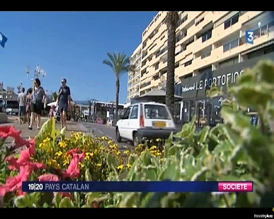 SAINT CYPRIEN : LE MAIRE ANNULE LA PATROUILLE ET LE FEU D'ARTIFICE