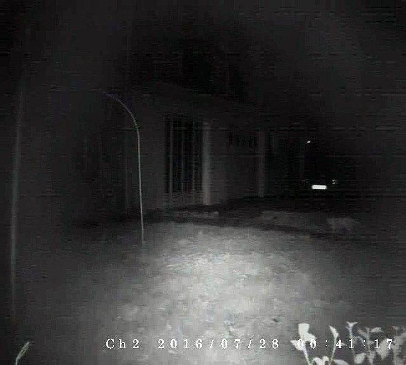 chat video surveillance