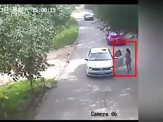 Tiger Attack In Daylight At China, Everyone Got Shocked