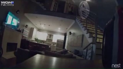 Ils découvrent l'impensable en visionnant les images de surveillance de leur maison