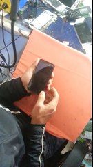 hard reset nokia lumia 630 rm  974