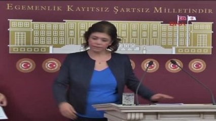 Meral Danış Beştaş, TBMM'de Basın Toplantısı Düzenledi -1