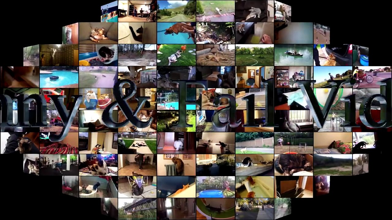 Cats scared of Cucumbers Compilation - Cats Vs Cucumbers - Funny Cats 2016