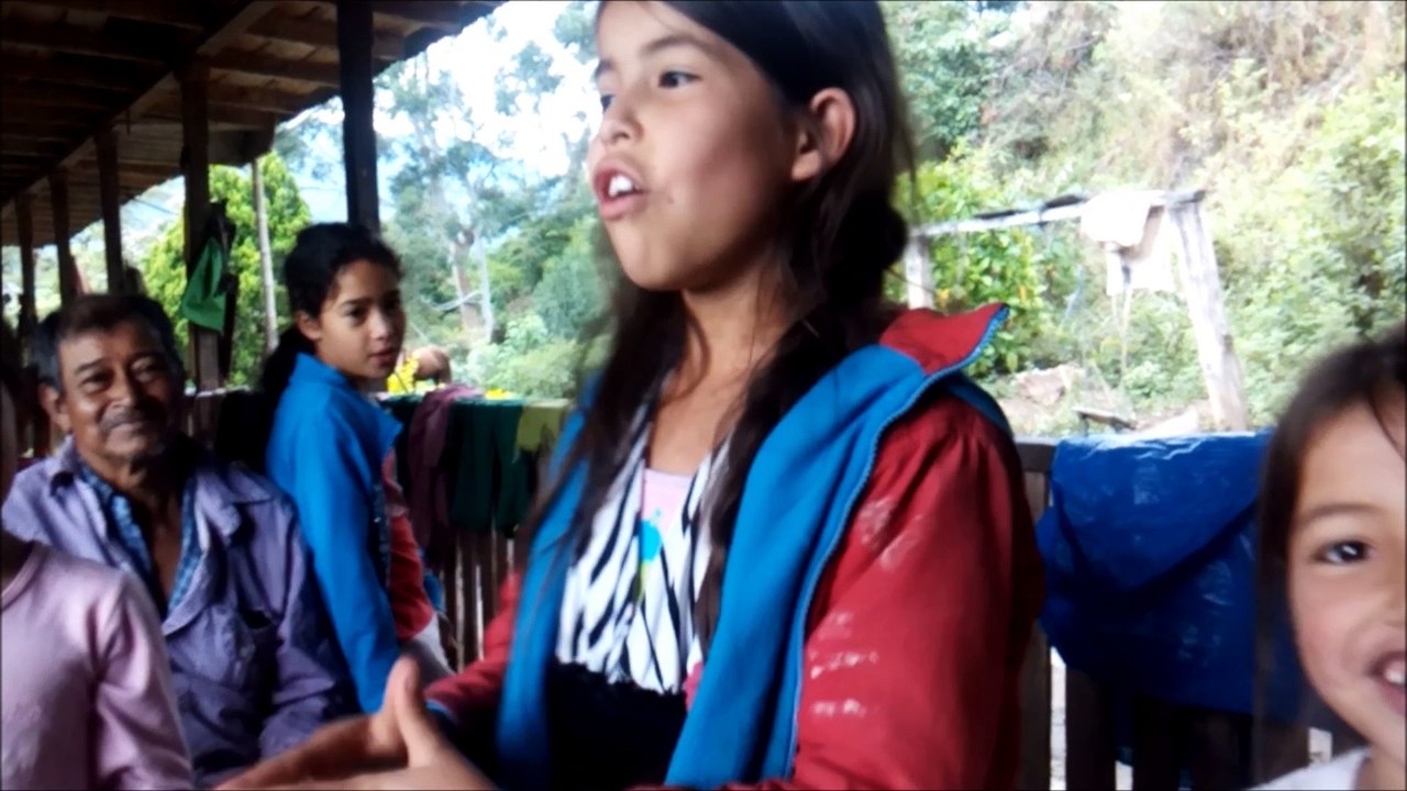 Canticos Infantiles