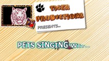 Cats  u0026 dogs singing with their owners - Funny and cute animal compilation