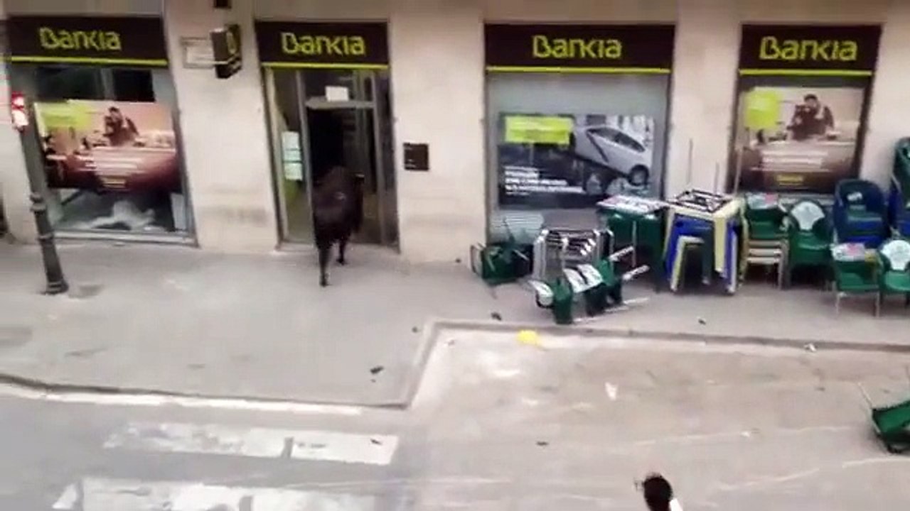 Ce taureau a décidé d'aller retirer un peu d'argent à la banque...