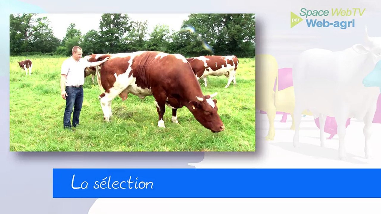 [Space WebTV] La race Rouge des Prés