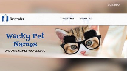 The Wackiest Pet Names of 2016 Revealed