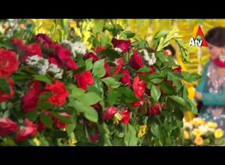 Haan Qabool Hai Season 03 Ep#29