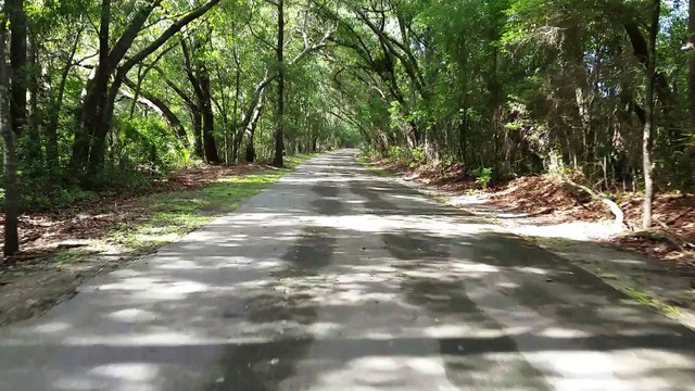 Mountain Biking, Touring, & Bikepacking: Huracan 300 - Lake Apopka Loop Segment | ADVENTURE BIKER