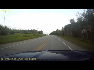 Ford F150  Vs. Deer