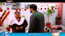 Watch Mein Mehru Hoon Episode 12 on Ary Digital in High Quality 28th July 2016