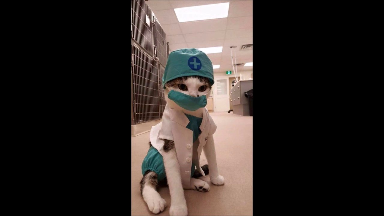 Les photos Fun et Insolites du Web 038