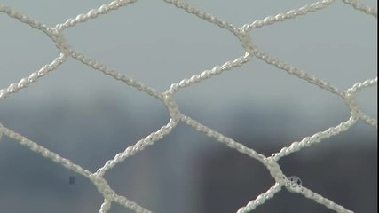 WhatsApp se torna ferramenta de busca por trabalho