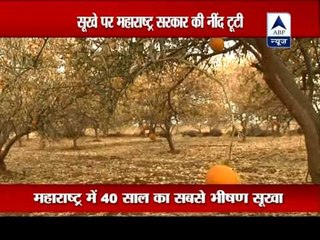 Maharashtra deals with drought as state mulls measures to minimise impact