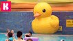 Катя купается в огромном бассейне с уточкой в аквапарке и 1100 магазинов игрушек в одном Центре новое видео канал 2016