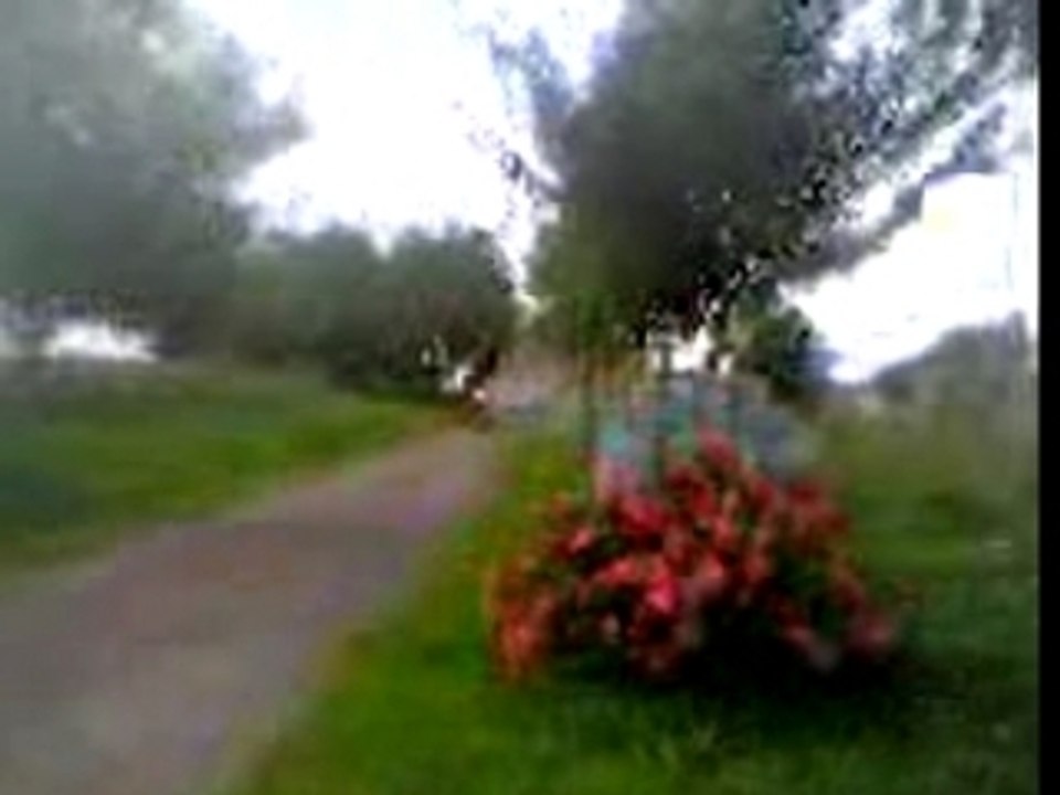 Video 07220005