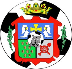 Los peques del Lada cf : Una temporada emocionante !!!!