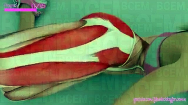 Как работают мышцы во время занятий спортом