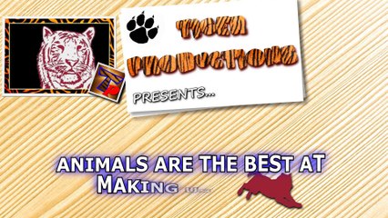 Animals are the best at making us laugh - Funny animal compilation