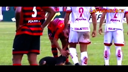 Animals on the Football Pitch ● Funny Moments