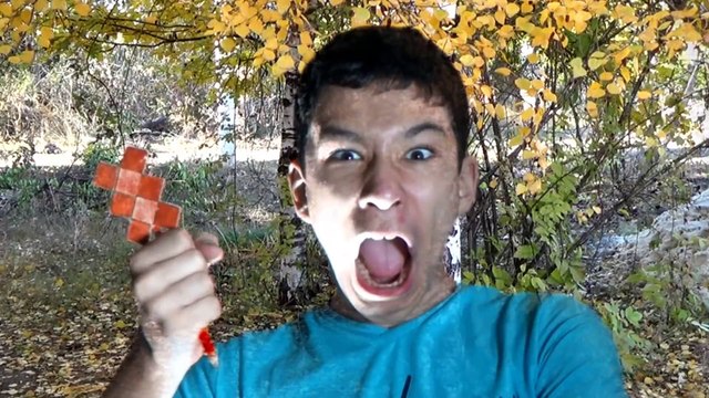 МАЙНКРАФТ В РЕАЛЬНОЙ ЖИЗНИ MINECRAFT IN REAL LIFE 2