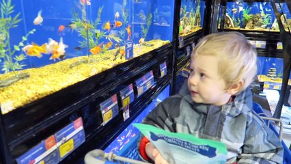 EMOTIONAL WELCOME HOME   SAYING BYE TO THE GOLDEN RETRIEVER PUPPIES! !
