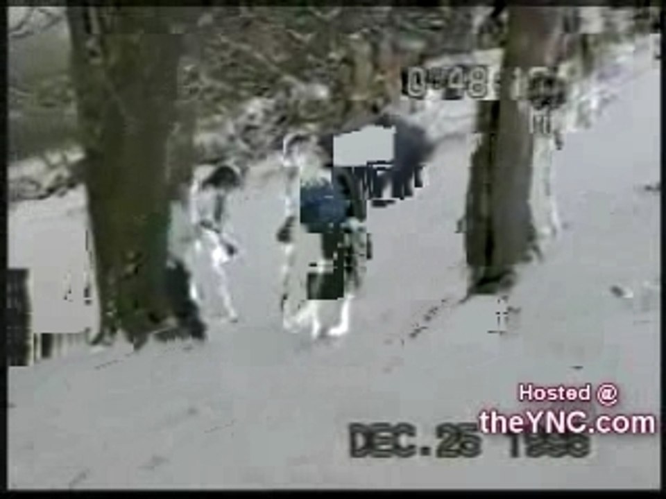 Gamelles neigeuses