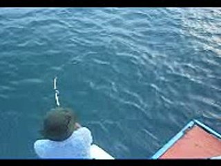 Mancing Ikan Gabus Laut (Pantasik) 25 kg.3gp