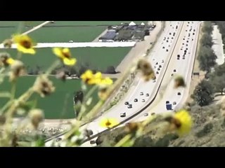 This (Illegal) American Life - Part 1/2