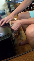 Disappearing Coin Trick for Dog