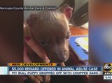 $5,000 reward offered for any information in animal abuse case