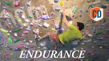 Ben Davison Advanced Training Programme: Endurance | Climbing...