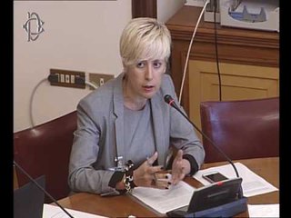 Roma - Audizione di rappresentanti del Miur (28.07.16)