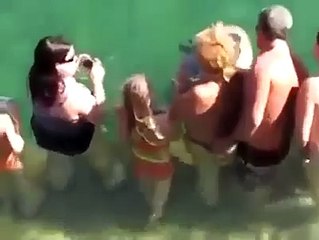 Dolphin surprises tourists at the beach