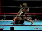 Fedor Emelianenko vs Ricardo Arona