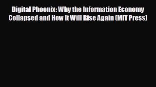 there is Digital Phoenix: Why the Information Economy Collapsed and How It Will Rise Again