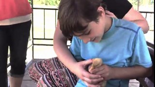 Fun with baby and pet [funny videos animal][Compilation 2016]