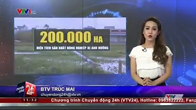 Tổng hợp thiệt hại do bão lũ gây ra tại các tỉnh phía Bắc, và những công tác khắc phục hậu quả đang được triển khai.