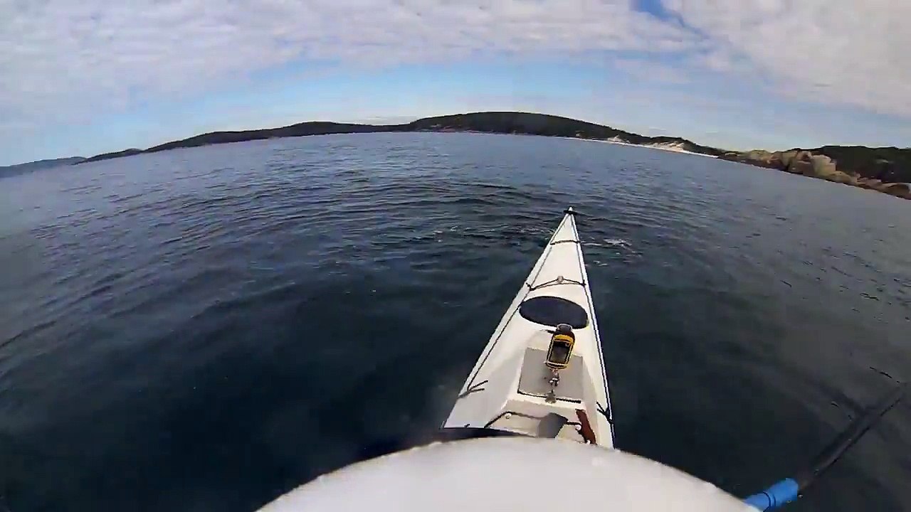 Il appelle à l'aide en Kayak alors qu'il croise un requin bien gros !