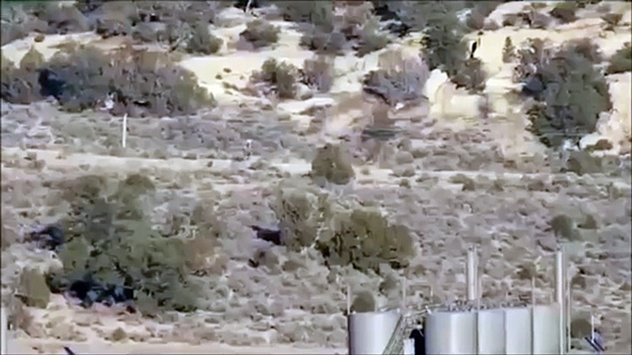 【UMA映像】野人？ビッグフット？エイリアン？アメリカで撮影された不気味な獣人_AhGrtsyfJ28_youtube.c_ポケモンGO