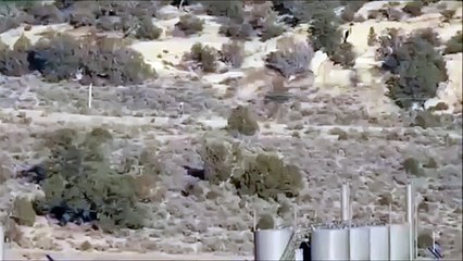 【UMA映像】野人？ビッグフット？エイリアン？アメリカで撮影された不気味な獣人_AhGrtsyfJ28_youtube.c_ポケモンGO