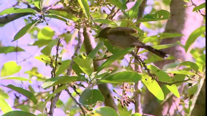 Six Hours Drive from Delhi - writershill.com