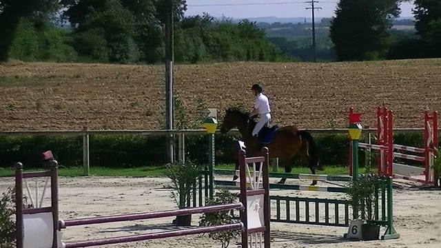 Phèdres et Jean Noel CSO la combe du bion vitesse 110 cm 28/07/2016