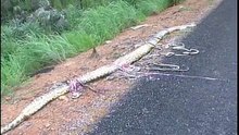 Acidente na BR 364 envolvendo Sucuri, um caminhão e um carro mata 5 pessoas