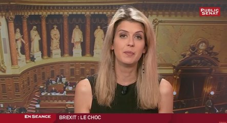 Télécharger la video: Brexit : Qu'en pensent nos responsables politiques ? - Les matins du Sénat (29/07/2016)