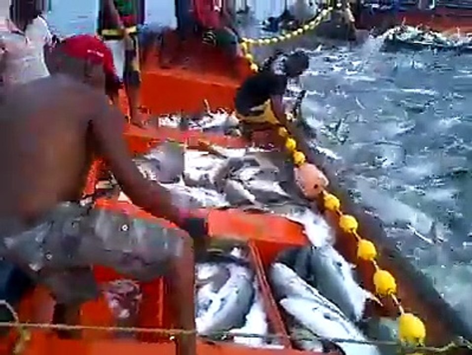 Fishing