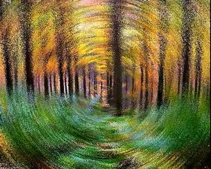 Valzer Nel Bosco / 17 Hippies